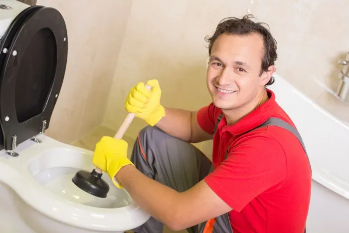 Blocked toilet clearance
